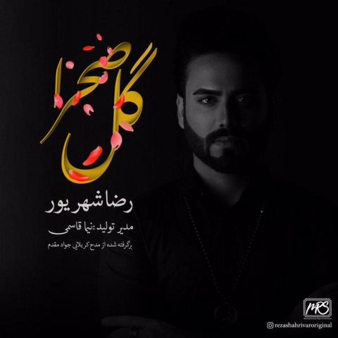 دانلود آهنگ جدید رضا شهریور به نام گل صحرا